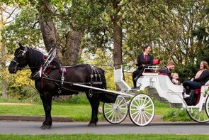 Private BEACON HILL PARK Horse-Drawn Carriage Tour, Victoria