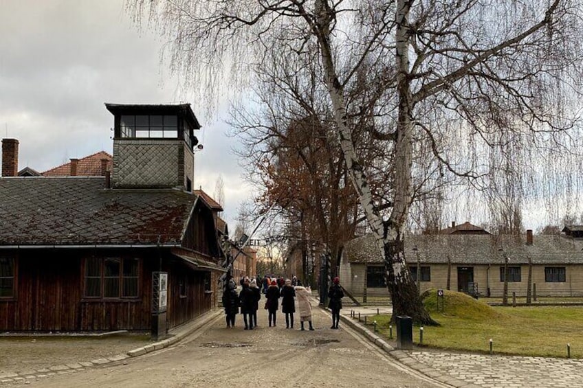 Auschwitz-Birkenau guided tour from Krakow