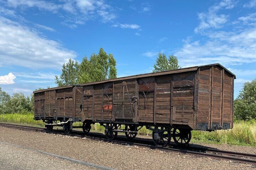 Auschwitz-Birkenau guided tour from Krakow