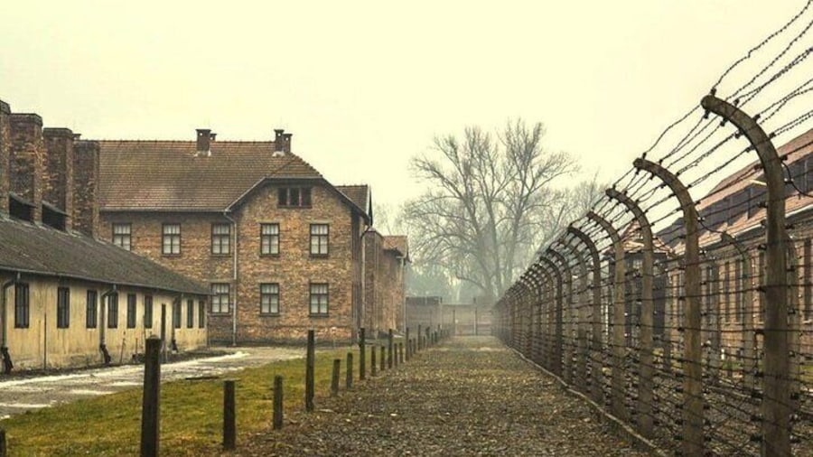 Auschwitz-Birkenau guided tour from Krakow