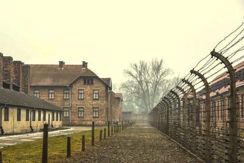 Auschwitz-Birkenau guided tour from Krakow