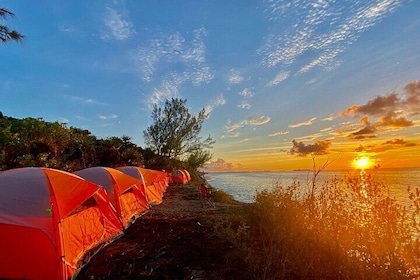 Camping Experience in Paradise