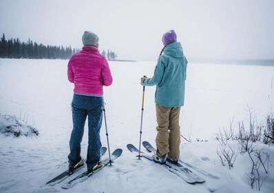 Pyhä: Skiing Tour in Arctic Forest