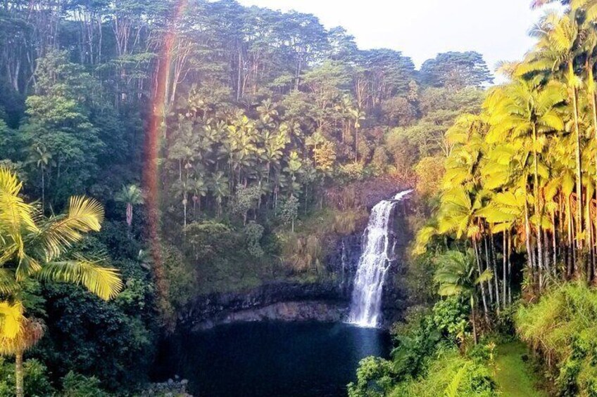 Explore Kulaniapia Falls after class