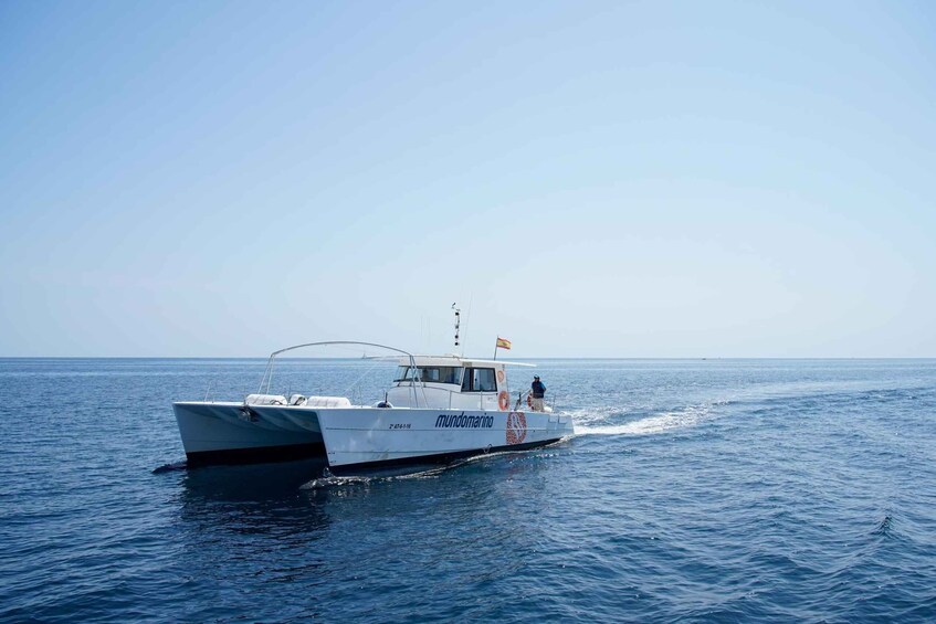 Picture 7 for Activity Altea: Boat Tour with Swimming Stop