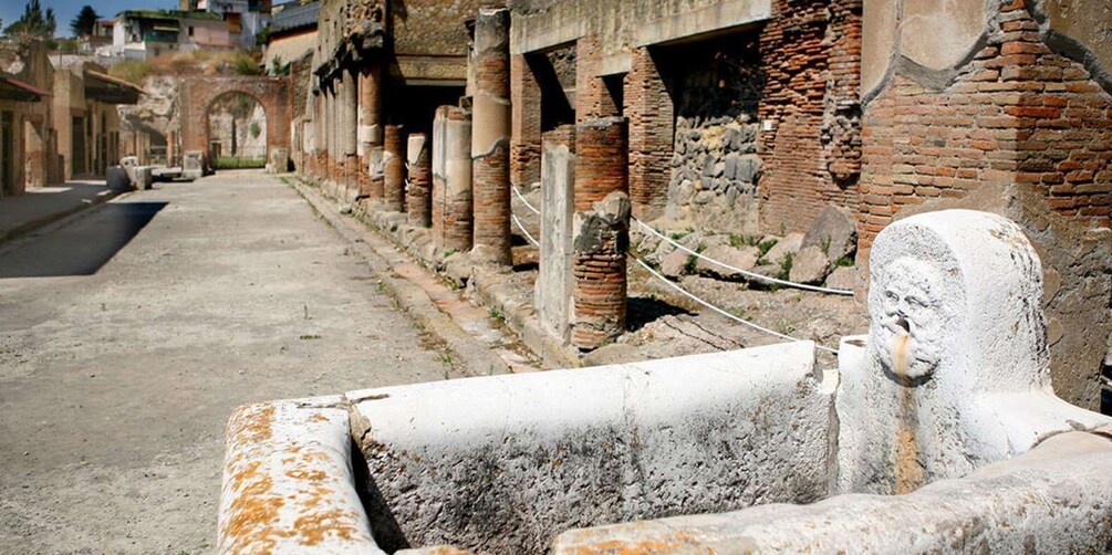 Picture 2 for Activity From Amalfi Coast: Pompeii Herculaneum skip-the-line