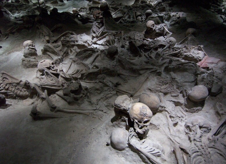 Picture 1 for Activity From Amalfi Coast: Pompeii Herculaneum skip-the-line