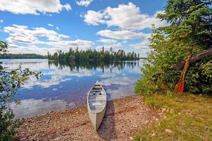 Revelstoke: Guided Canoe Tour with Snacks
