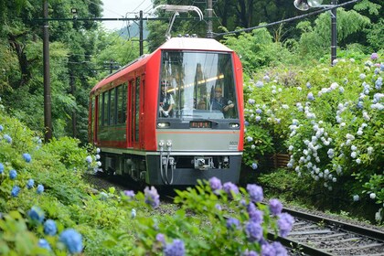 Hakone y Kamakura: pase de tren de 3 días