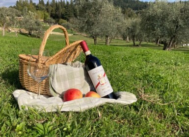 Natural Park and Picnic Experience near Florence