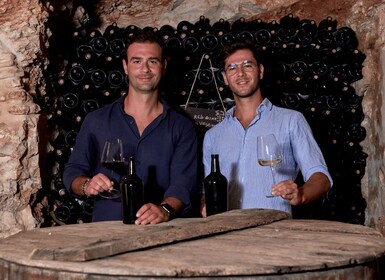 Wine Tasting with Food Pairings in Bari City Center