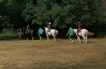 Horseback Ride Along the Adige River in Verona