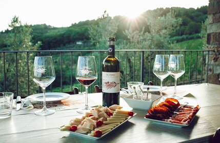 Chianti Winery Tour with Wine & Food Tasting near Florence