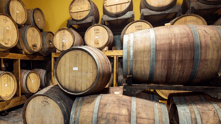 Picture 4 for Activity Winery Tour and Wine Tasting in Rieti Countryside