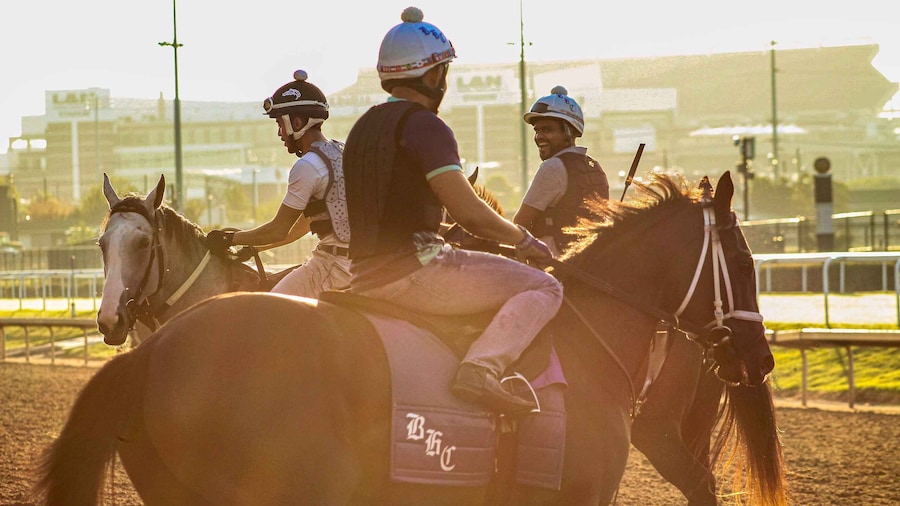 Kentucky Derby Museum - Admission with Guided Track Visit