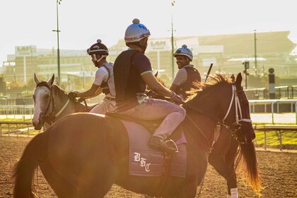 Kentucky Derby Museum - Admission with Guided Track Visit