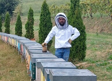 Beekeeping Tour and Honey Tasting Experience in Monferrato