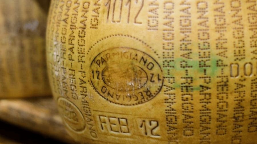 Parmesan Cheese Tour & Tasting close to Modena