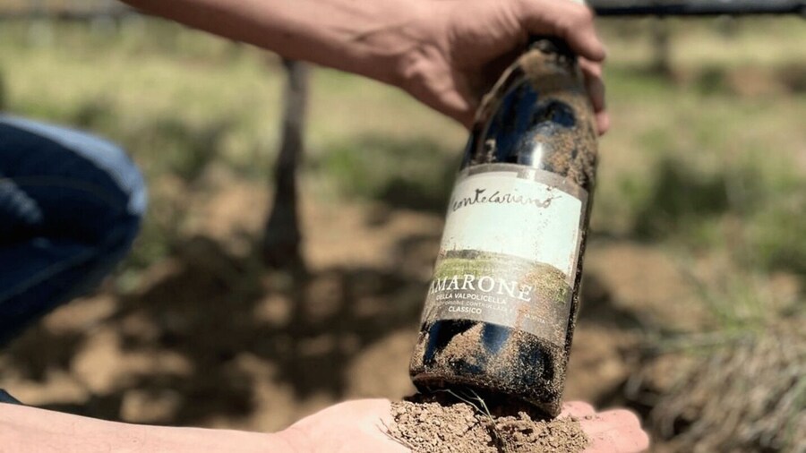 Boutique Winery Tour & Tasting in Valpolicella