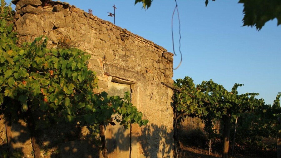 Wine Tasting & Medieval Town Visit at Castelli Romani