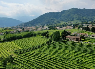 Prosecco Tasting in Countryside Winery