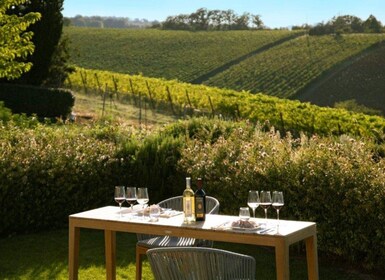 Wine Tasting with Food Pairing near Bologna