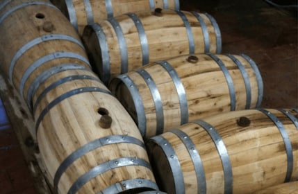 Boutique Winery Visit & Wine Tasting near Arezzo