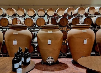 Prosecco Winery Tasting with Food Pairing near Venice