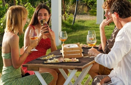 Boutique Winery Tour with Wine & Food Tasting near Cagliari