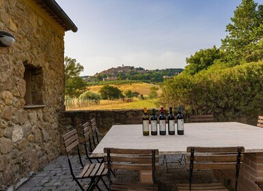 Winery Tour & Wine Tasting with Food near Livorno & Pisa