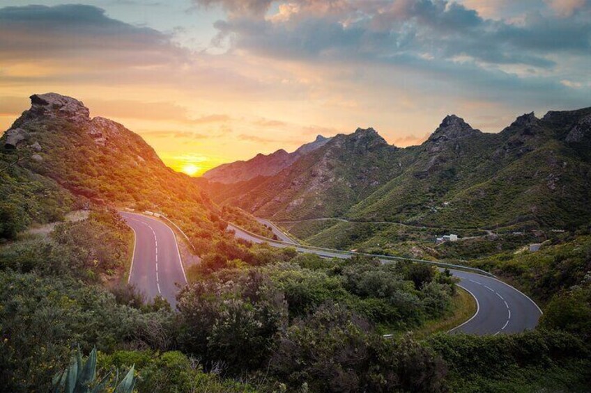 Full-Day Guided Cabrio Bus Tour of Teide