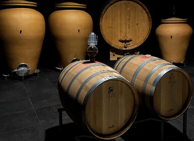 Organic Winery Visit near Turin with Wine & Food Tasting