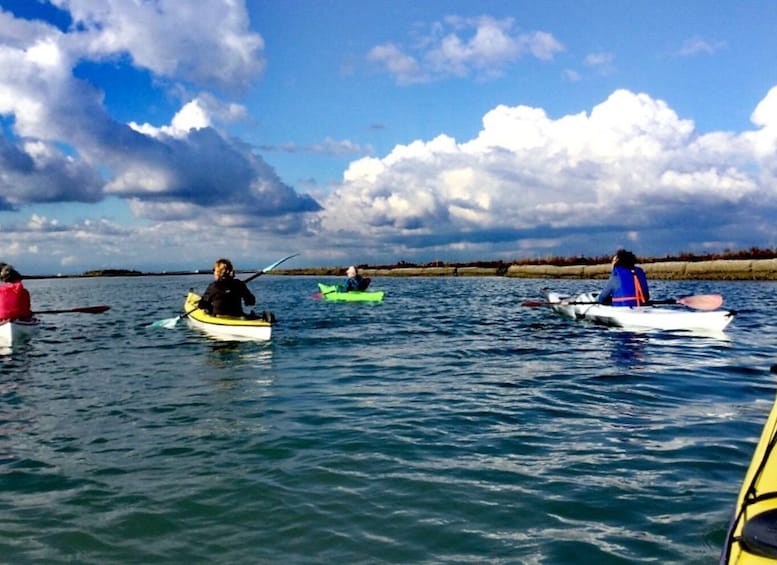 Picture 7 for Activity Venice: Sant’Erasmo, Vignole, and Lagoon Kayaking Tour