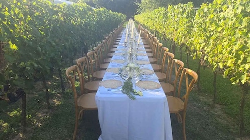 Harvest Dinner Party