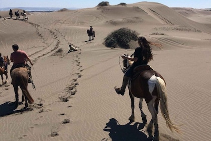 Santiago: Horseback Ride, Sand Dunes W/Transfer&Optional BBQ