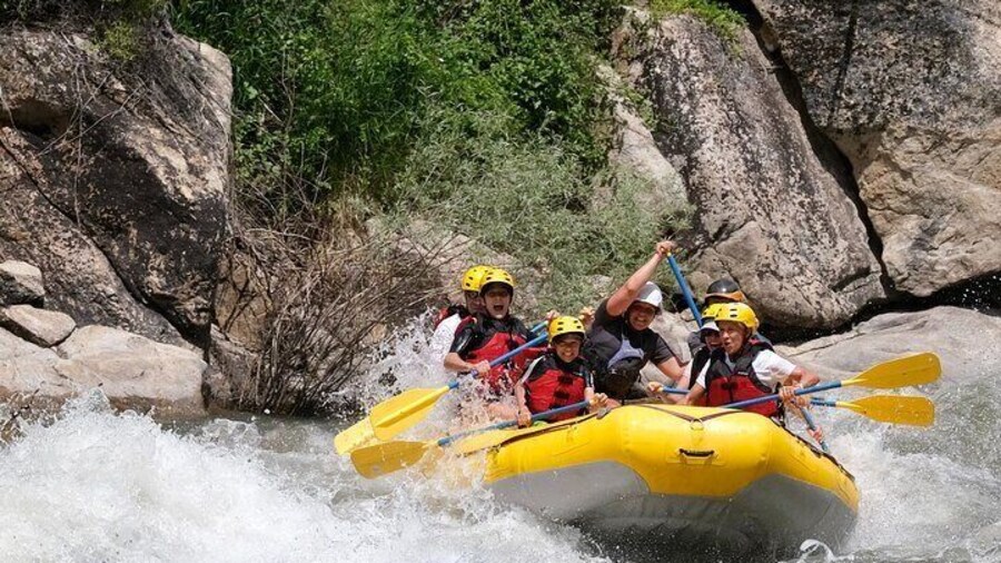 Whitewater Rafting the Salmon River - Full Day