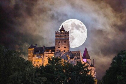 Excursion d'une journée en petit groupe au château de Dracula