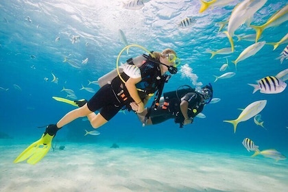 Jeddah Scuba Diving Explore Red Seas Underwater Treasures