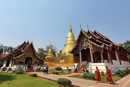 Dominar los templos de Chiang Mai en medio día: visita 7 templos