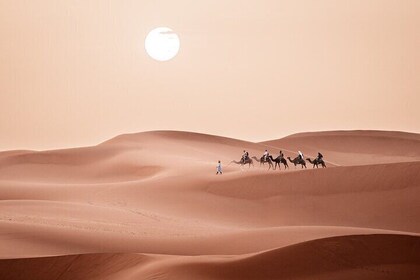 Sahara Desert Trip from Fez to Marrakech 3 Days 2 Nights