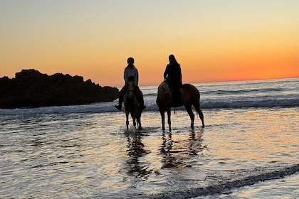 Tamraght Morocco Aventura a caballo