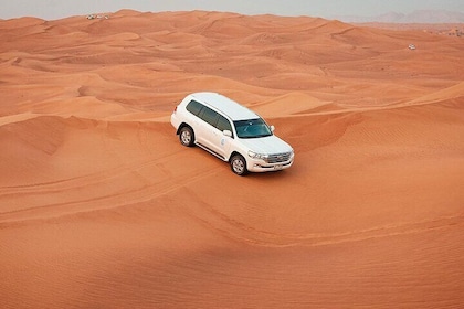 Tour en safari por el desierto Dubai Paseo en camello y Buggy y quad