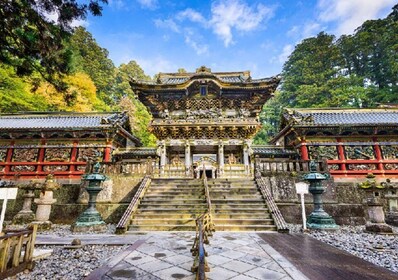 From Tokyo: UNESCO Shrine and Nikko Scenic Spots Bus Tour