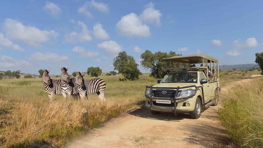 Hartbeespoort: Lion and Safari Park Tour