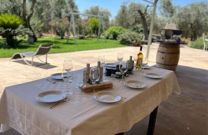Olive Mill Tour with Olive Oil Tasting in Sassari