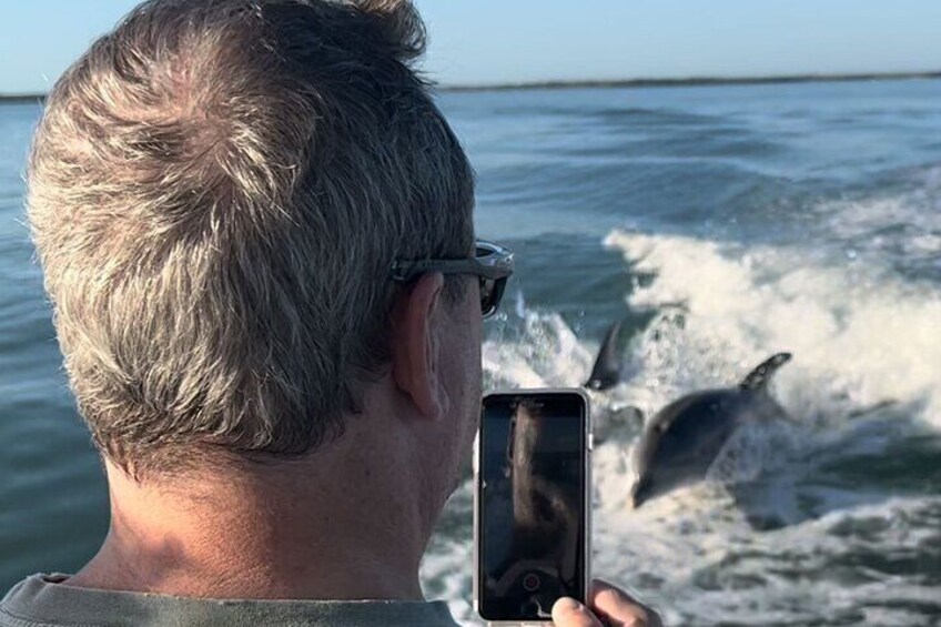 Time to take some dolphin pics!