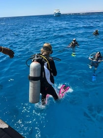 Marsa Alam: Diving & Snorkeling Trip with Transfers & Snacks