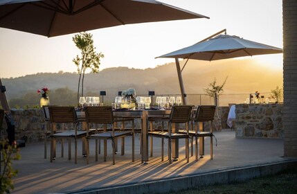 Luxury Winery Tour & Tasting with Local Food in Scansano