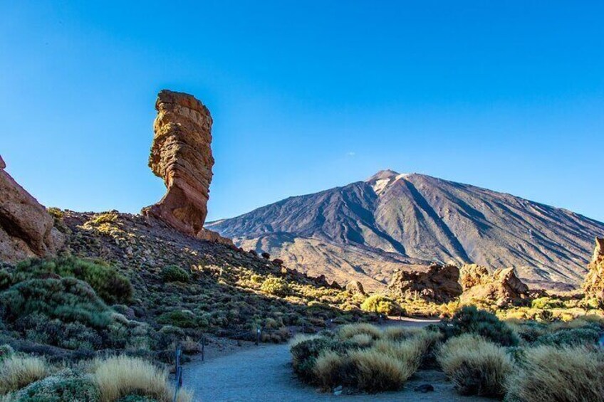 Rent 8 Hours in Luxury Car and Private Driver in Tenerife