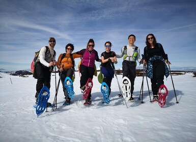 Madrid: Snowshoe tour